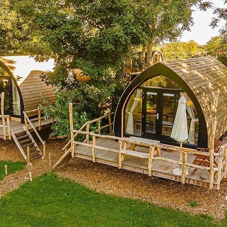 Boomhuis Met Optioneel Wellness - Vakantiepark De Schreiershoek Dokkum Εξωτερικό φωτογραφία