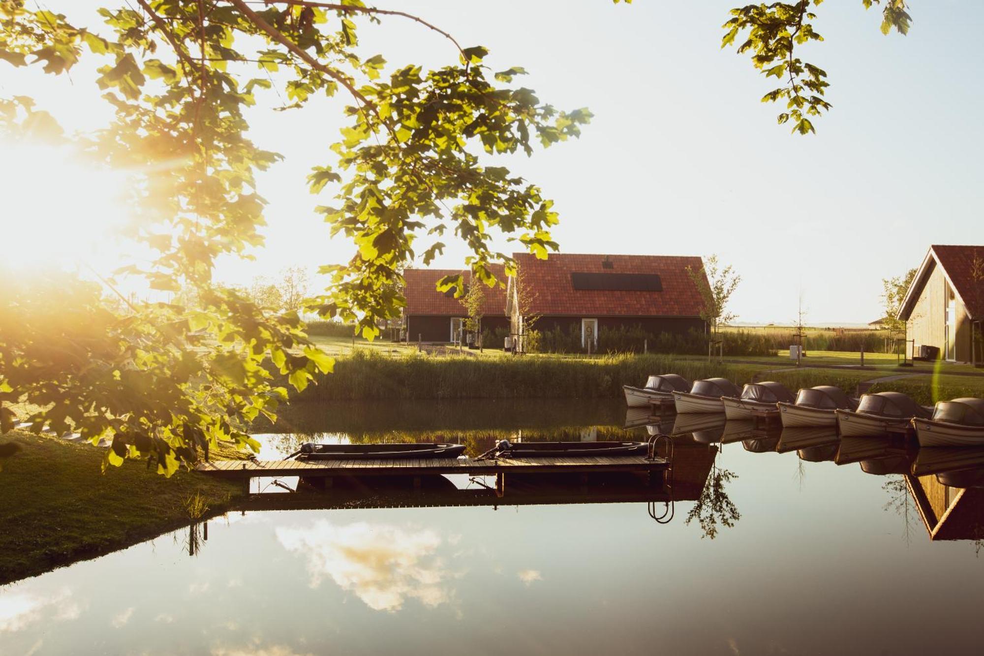 Boomhuis Met Optioneel Wellness - Vakantiepark De Schreiershoek Dokkum Εξωτερικό φωτογραφία