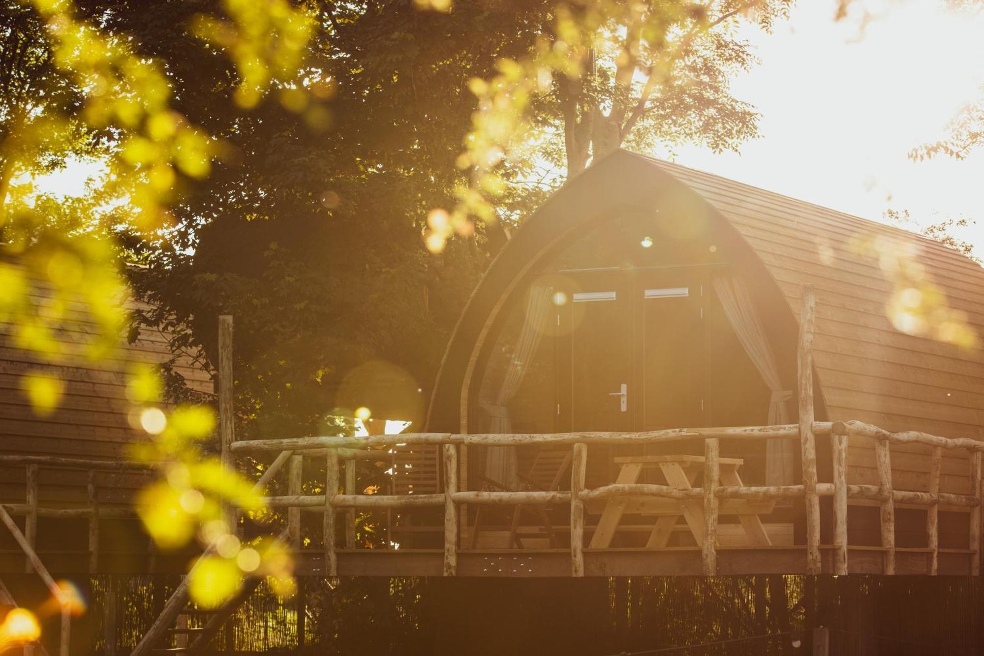 Boomhuis Met Optioneel Wellness - Vakantiepark De Schreiershoek Dokkum Εξωτερικό φωτογραφία
