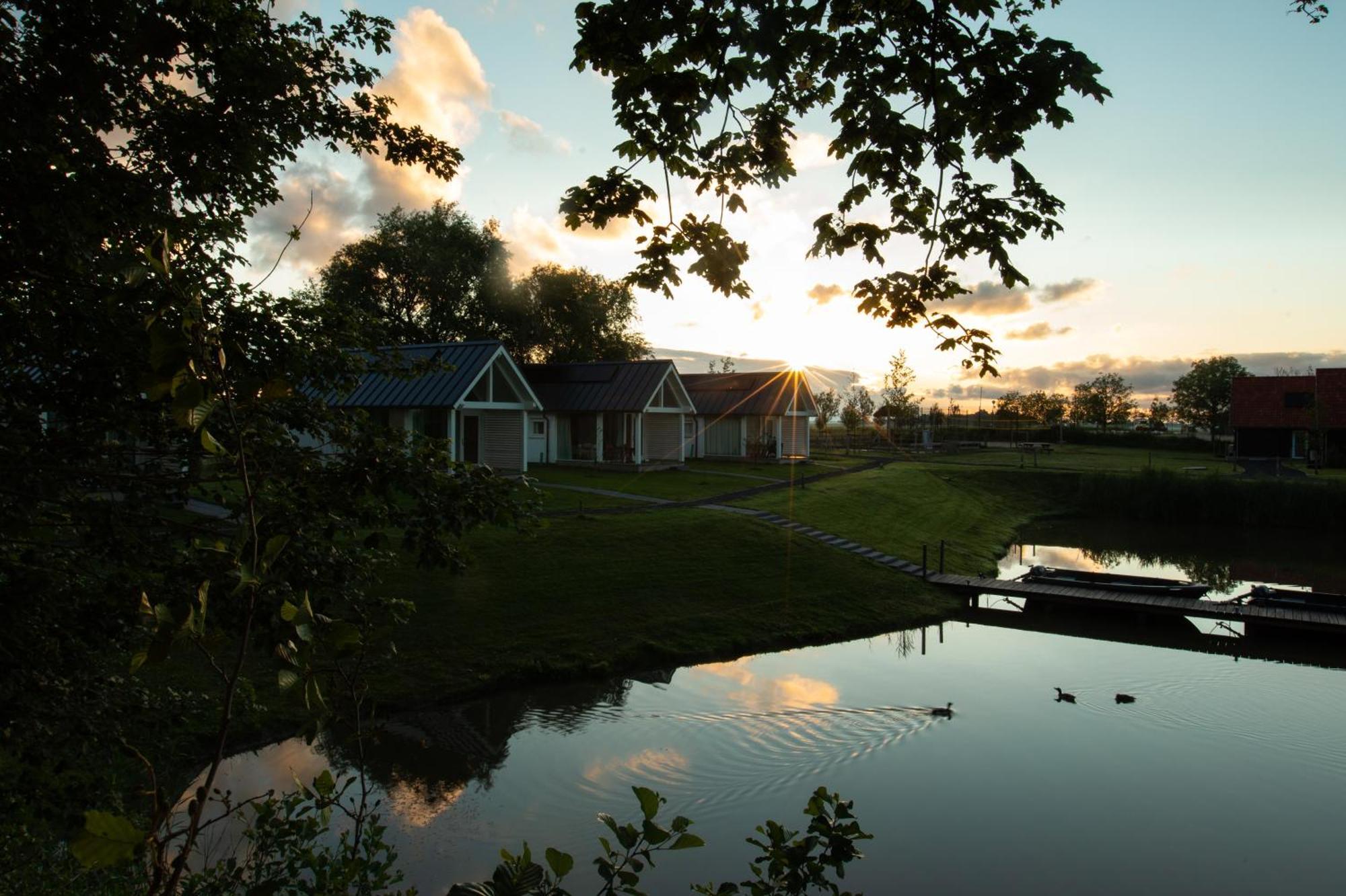 Boomhuis Met Optioneel Wellness - Vakantiepark De Schreiershoek Dokkum Εξωτερικό φωτογραφία